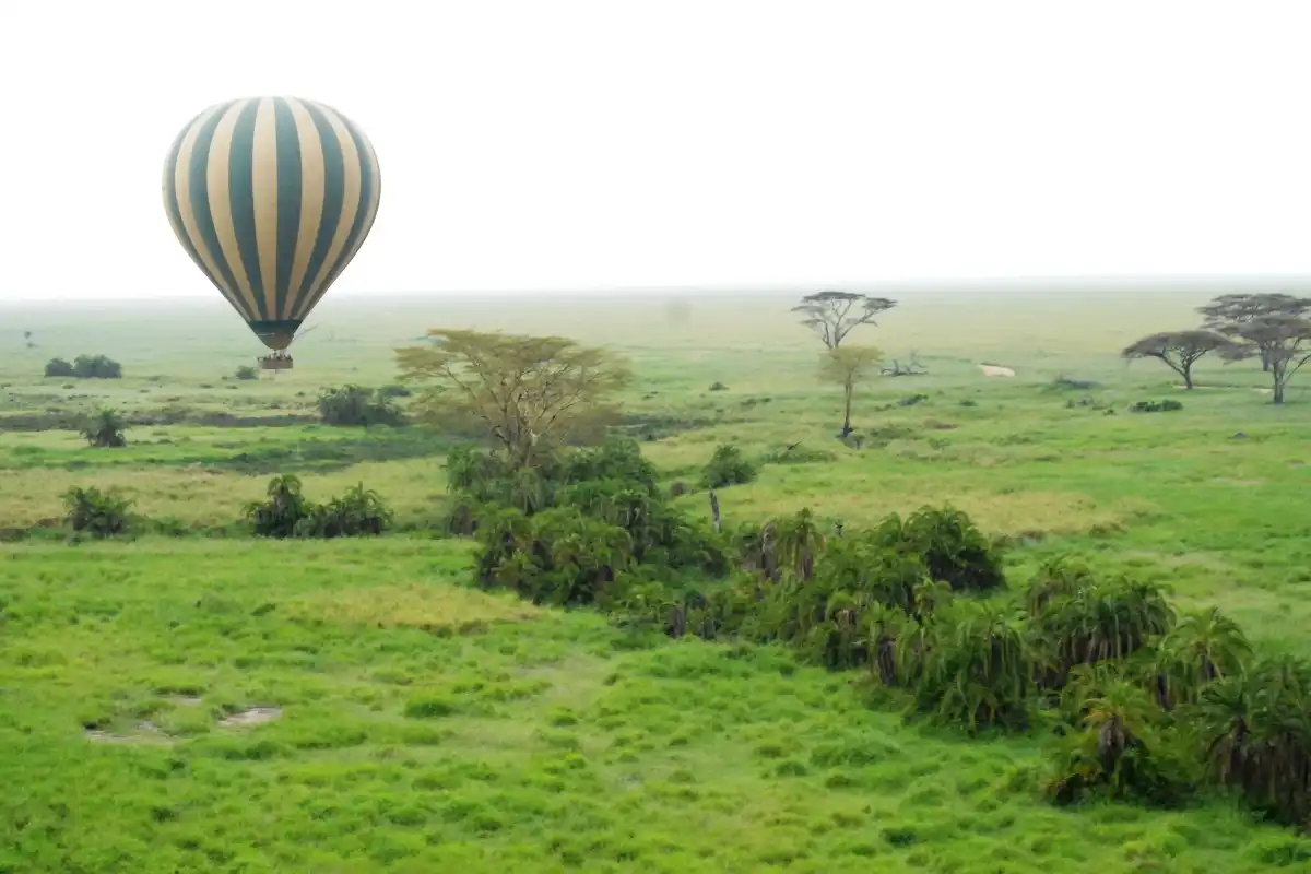 5 Days Tanzania Safari & Hot Air Balloon Safari